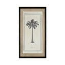 Palmeras Lonas 06