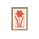 Colección Risobotánica Postales 1