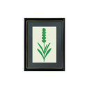 Colección Risobotánica Verde 3