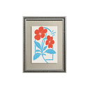 Colección Risobotánica Bicolor 3