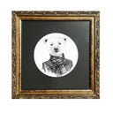 Serie Animal Achurada Oso