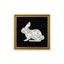 Serie Animales Conejo Fairchild.