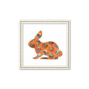 Serie Animales Conejo Mandarina.