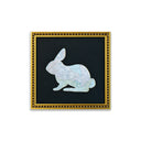 Serie Animales Conejo Mundo.