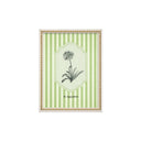 Serie Botanica Verde Oliva 10