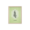 Serie Botanica Verde Oliva 2