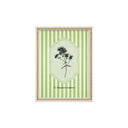 Serie Botanica Verde Oliva 3