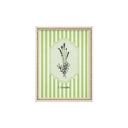 Serie Botanica Verde Oliva 4