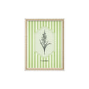 Serie Botanica Verde Oliva 6