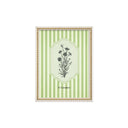 Serie Botanica Verde Oliva 8