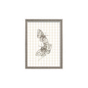 Serie campestre mariposa