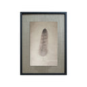 Lona  Plumas tonos beige