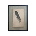 Lona Plumas toques blancos