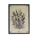 Serigrafía Olivos Ojal Alopecurus