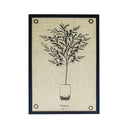 Serigrafía Olivos Ojal Koroneiki