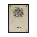 Serigrafía Olivos Ojal Redondel