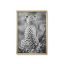 Taquilla Juvenil Leopardo Espalda
