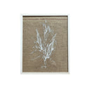 Serigrafía Trigos Corn Nro 9