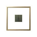 Universo Hojas Lineas Palmera