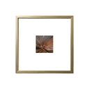 Universo Hojas Palmera Curva