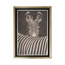 Zebra sobre lona