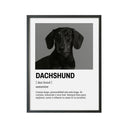 Perro Razas Icónicas Duchshund