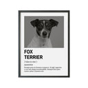 Perro Razas Icónicas Fox Terrier