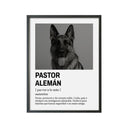 Perro Razas Icónicas Pastor Alemán