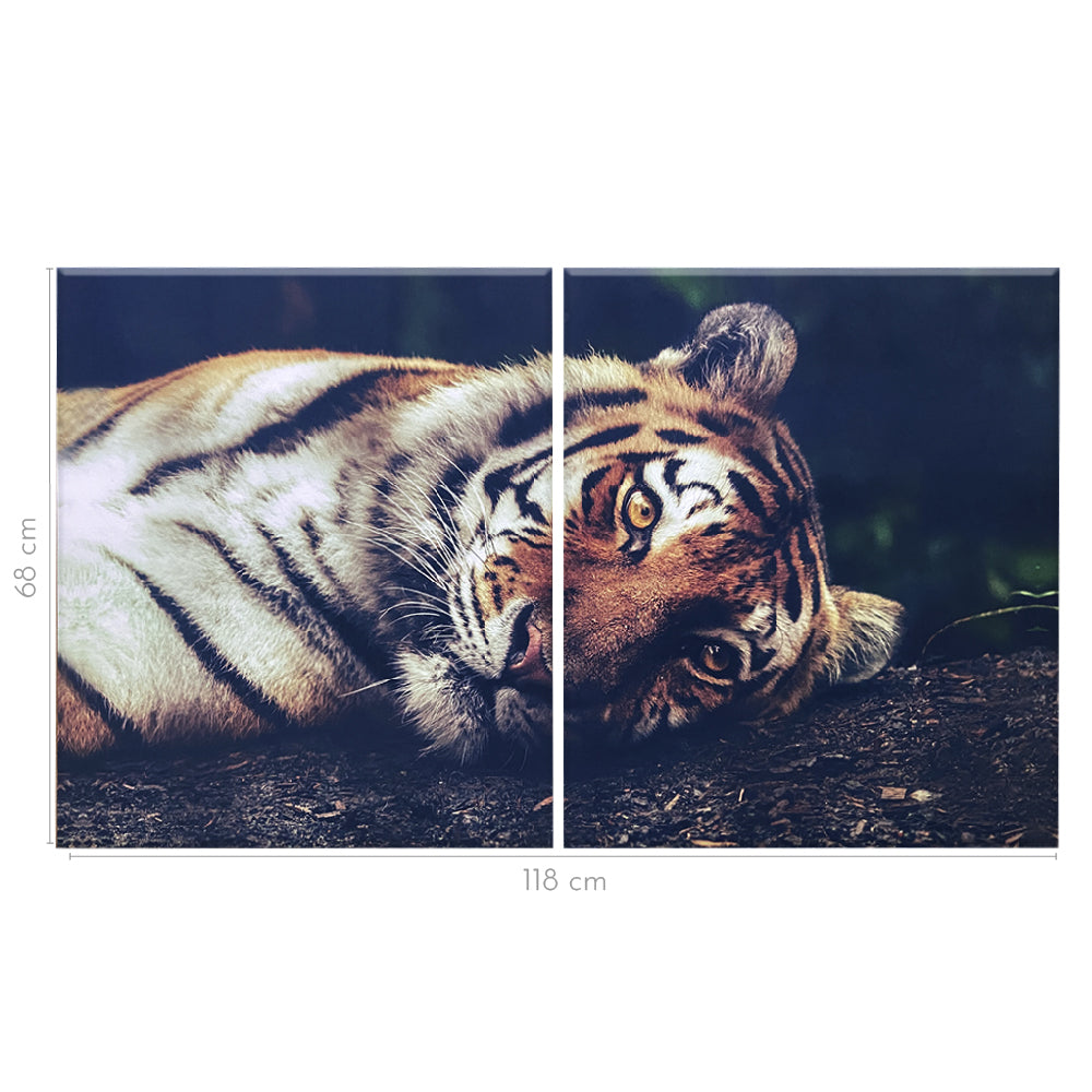 Canvas Díptico Tigre Descanso