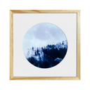 Fotografía Circular Bosque