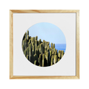 Fotografía Circular Cactus