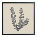 Ilustración Naturaleza Coral Alga