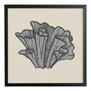 Ilustración Naturaleza Coral Lechuga