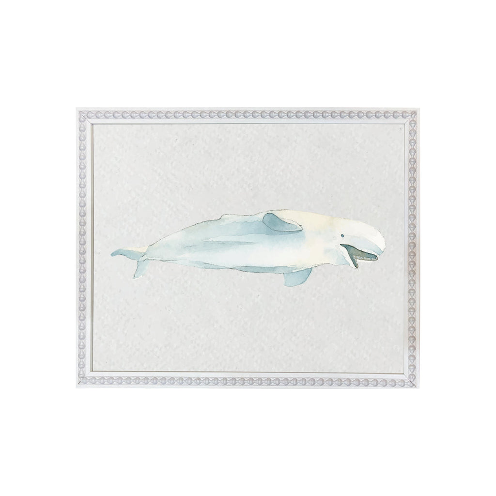 Mundo marino beluga