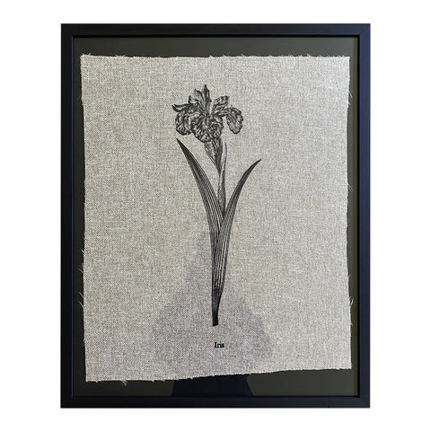 Serigrafía Herbario Iris Blanco