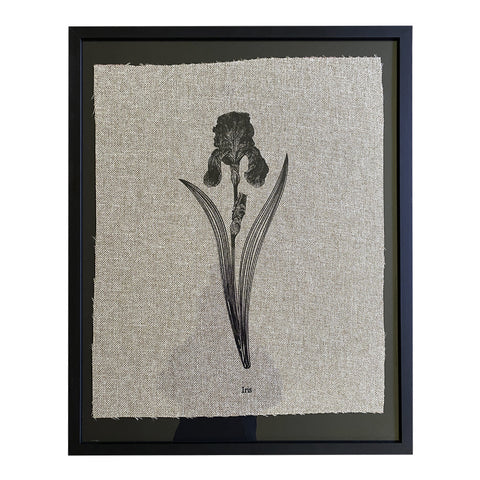 Serigrafía Herbario Iris Negro