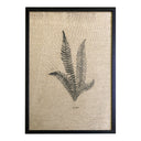 Serigrafía Petit Botánica Helecho