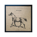 Serigrafía Caballo Lipizzano