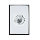 Tronco en blanco y negro 2