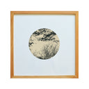 Silueta de árboles 2