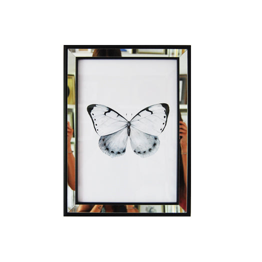 Mariposa celeste y blanco